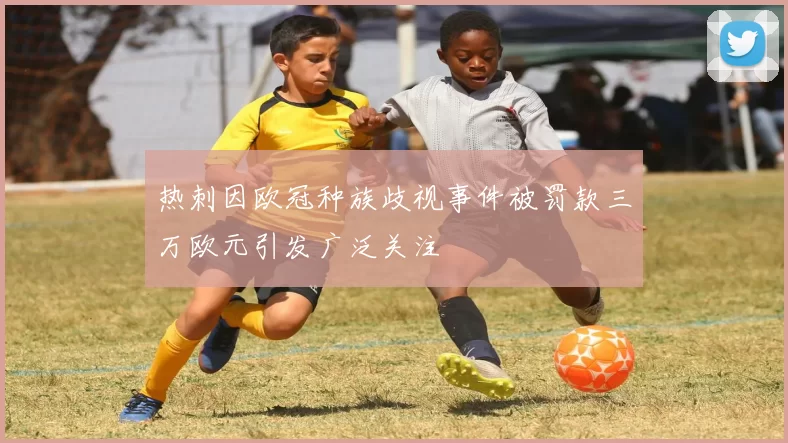 热刺因欧冠种族歧视事件被罚款三万欧元引发广泛关注